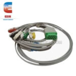 لمبة 6 فولت 30 وات شوكة اوسرام - Image 9